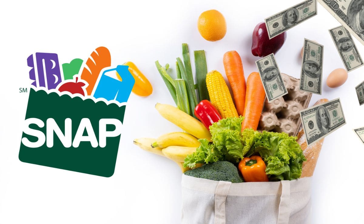 Food Stamps SNAP announces delivery of 1 751 checks to be