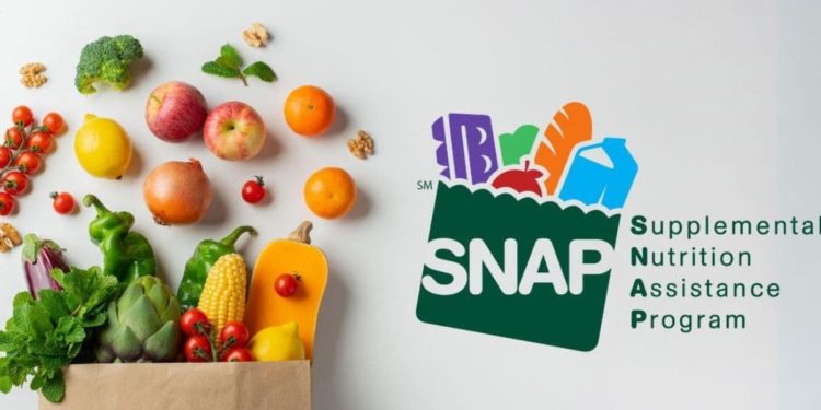 Get soon the SNAP Food Stamps if you live in one of these States