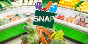 Find out if your State is sending the new SNAP Food Stamps payment