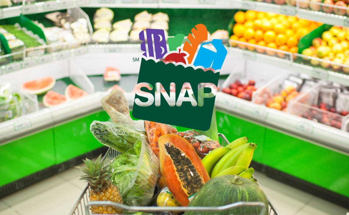 Find out if your State is sending the new SNAP Food Stamps payment