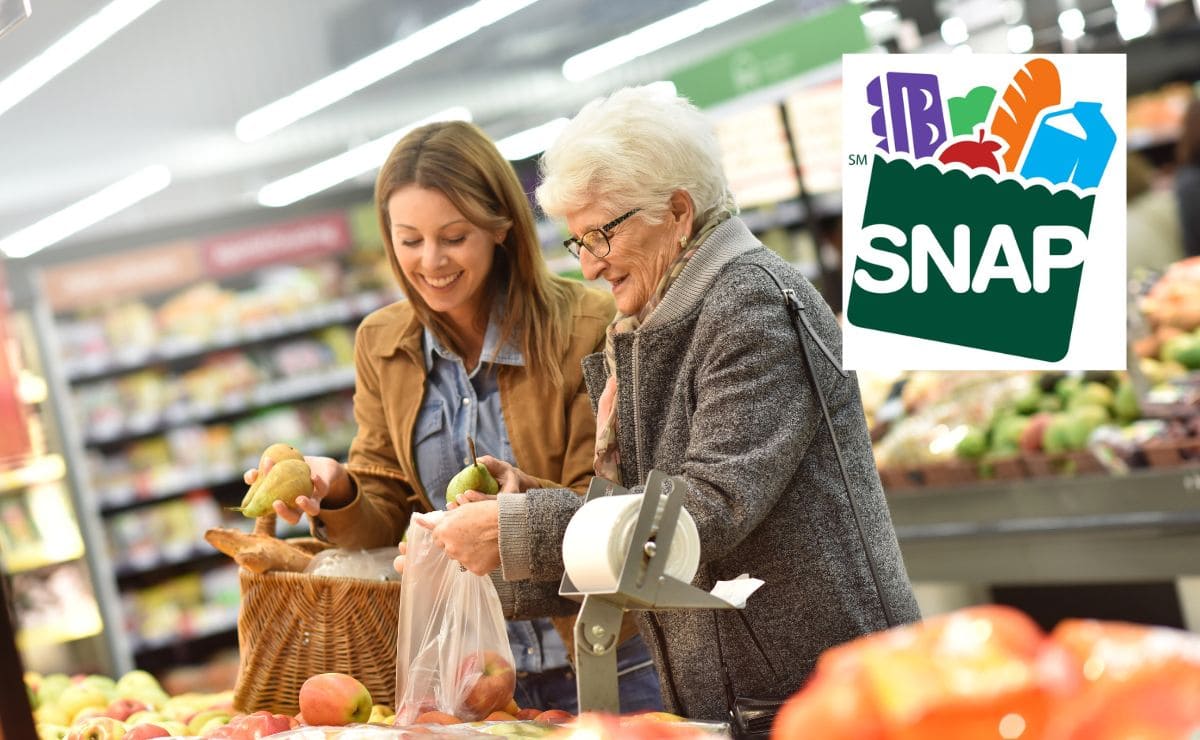 SNAP Food Stamps arrive without delay in these states before the end of ...