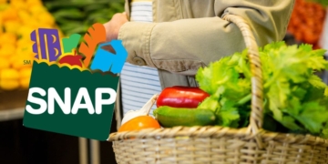 SNAP Food Stamps is really useful and it will arrive in all of the States