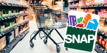 SNAP Food Stamps will arrive in June like in every month