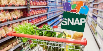 The SNAP Food Stamps calendar for June 2024 is almost finished