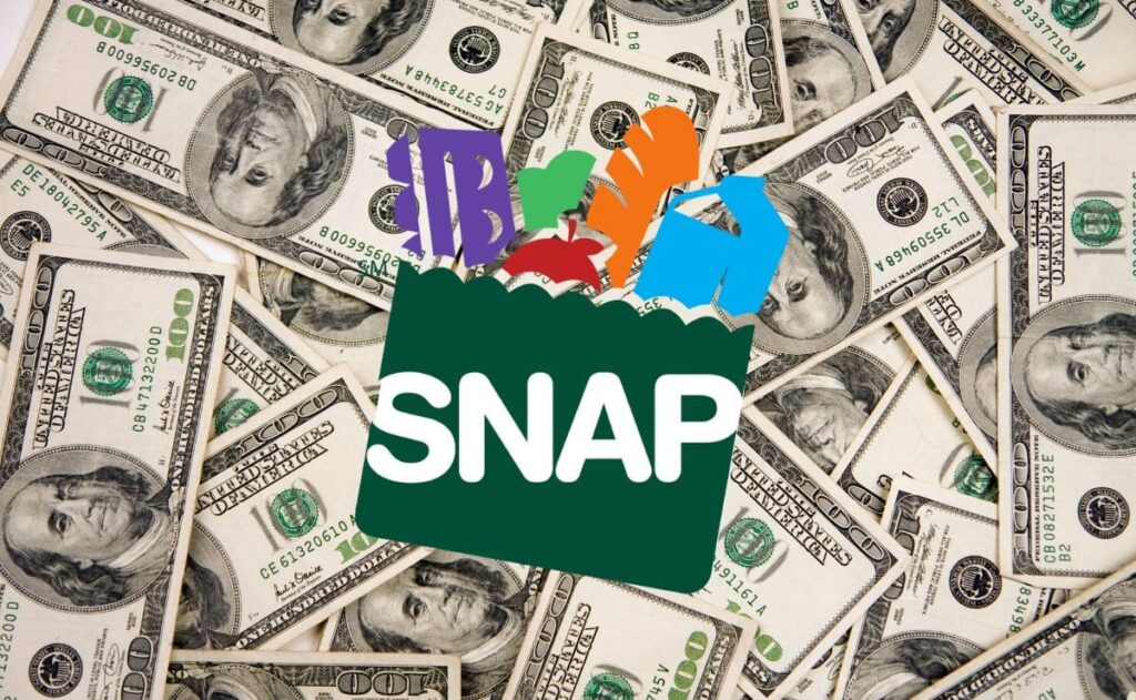 You can get the SNAP food Stamps and Disability Benefit in the next days