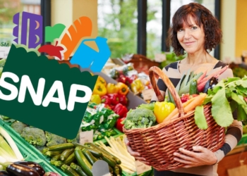 Find out if you would get a new SNAP Food Stamps payment