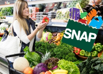Find out in what State you could get the new SNAP Food Stamps check in july