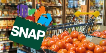 Get the SNAP Food Stamps without working