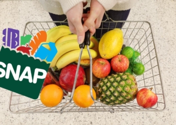 Get the new SNAP Food Stamps payment soon by living in one of these States