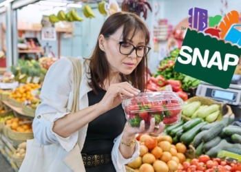Last SNAP Food Stamps payments are about to arrive in July