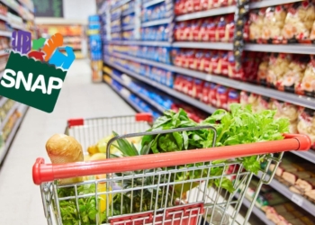 SNAP Food Stamps will arrive soon in Some States