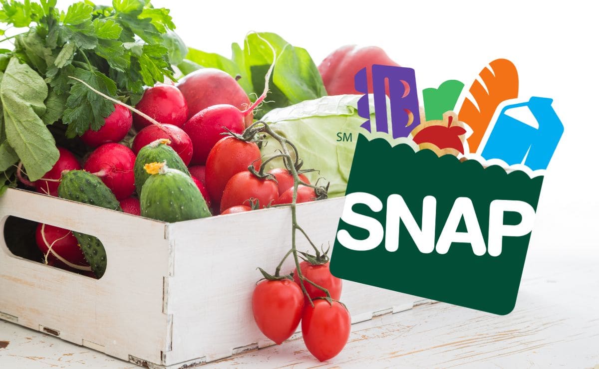 SNAP Food Stamps payment