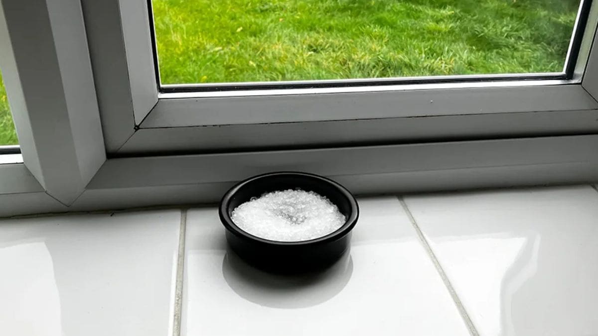 Why are citizens being asked to place salt containers on their windows this winter?