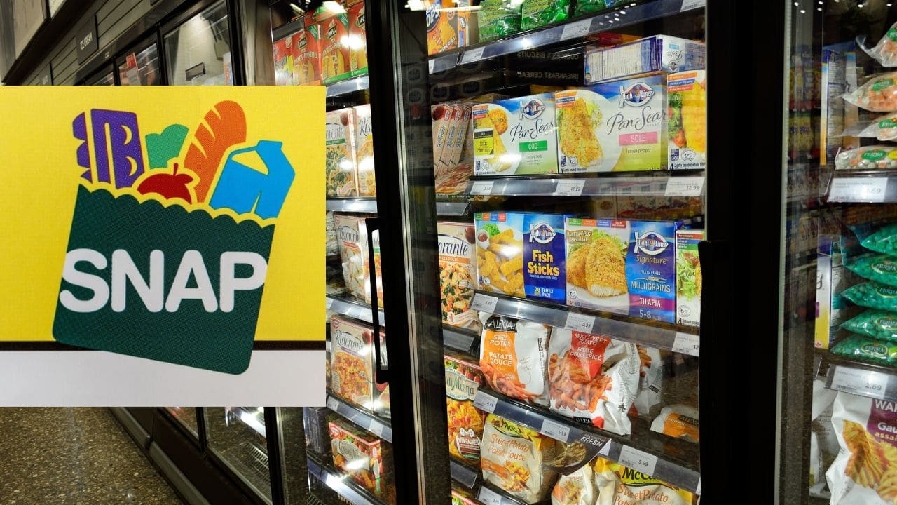 Last 2024 SNAP Food Stamps payments for many states Find out if you will get it in your EBT