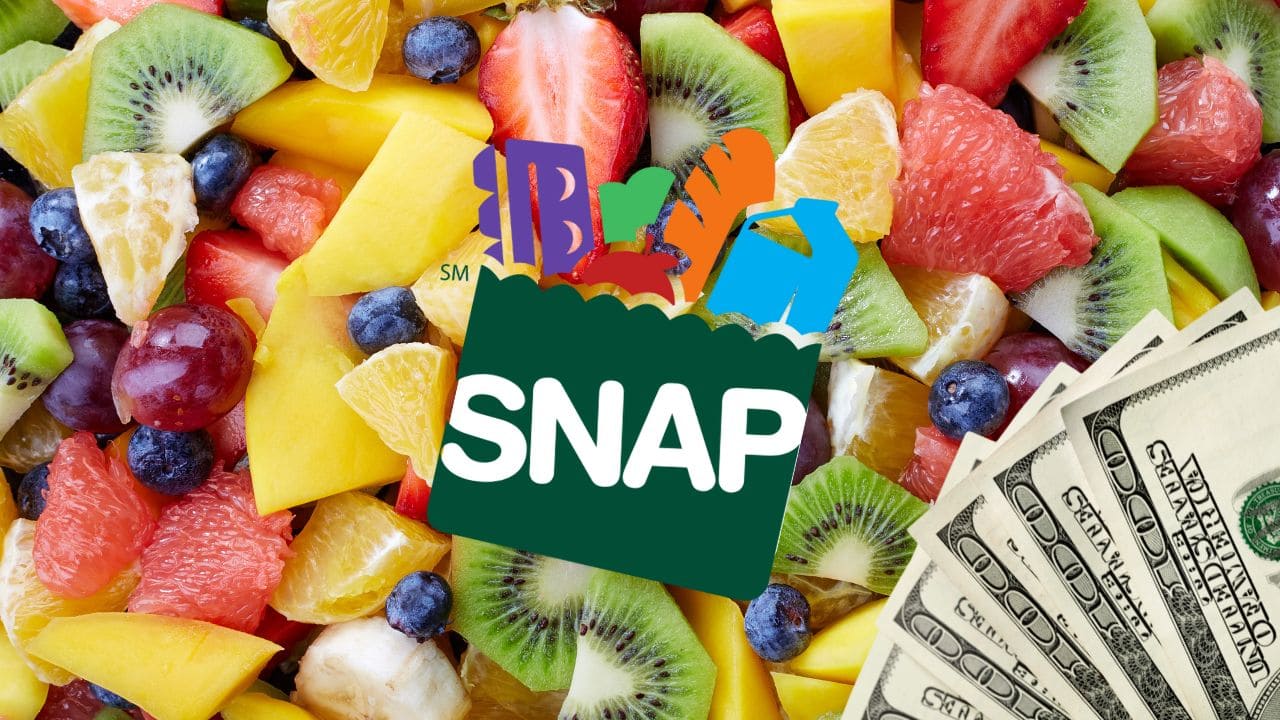 SNAP Food Stamps payment is arriving really soon