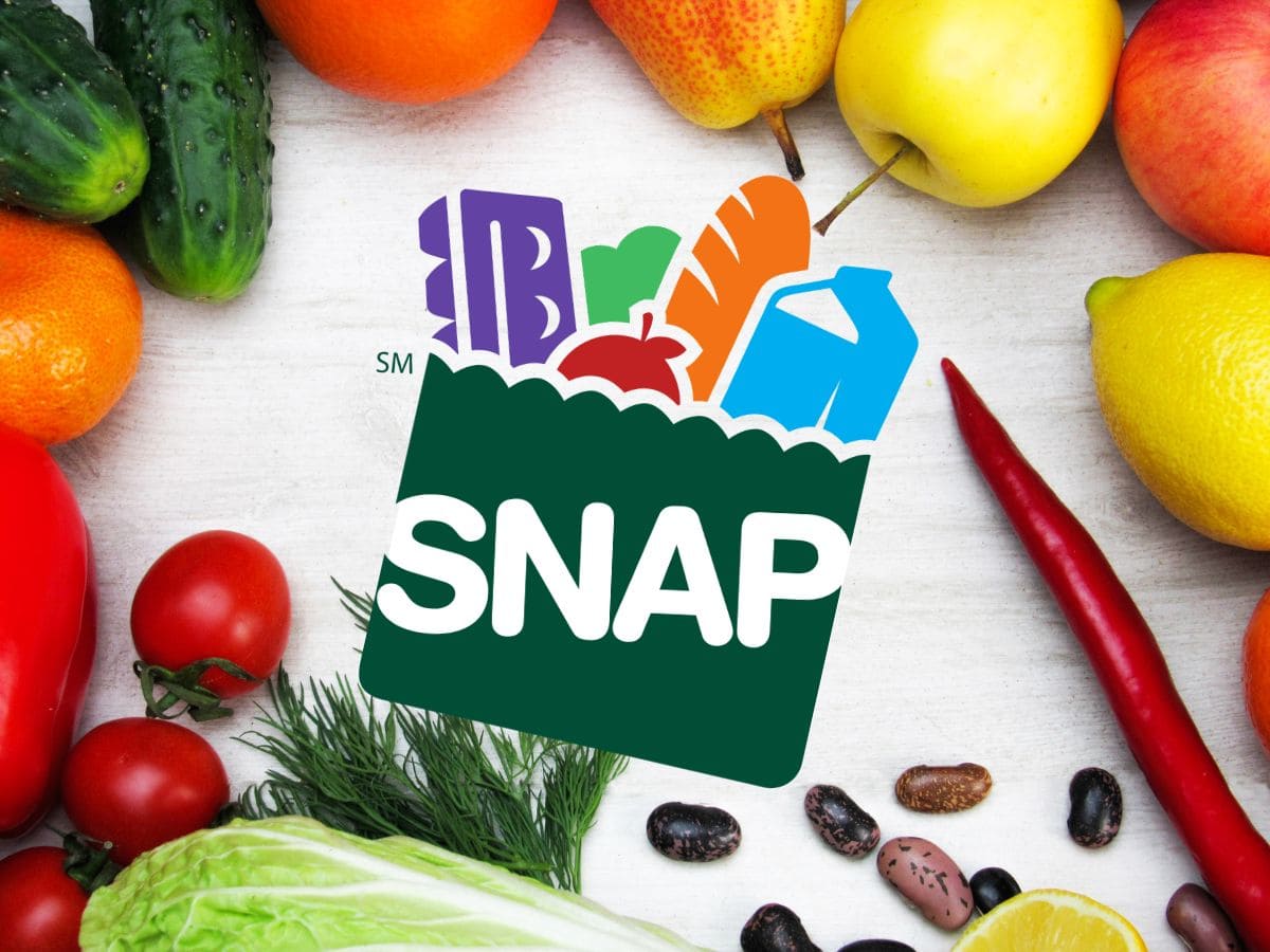 SNAP Food Stamps will arrive with 292 dollars checks in the next days