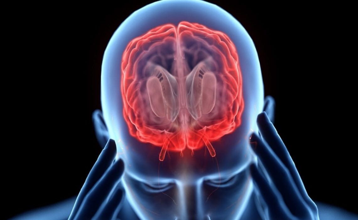 Como afecta lesion cerebral a la memoria