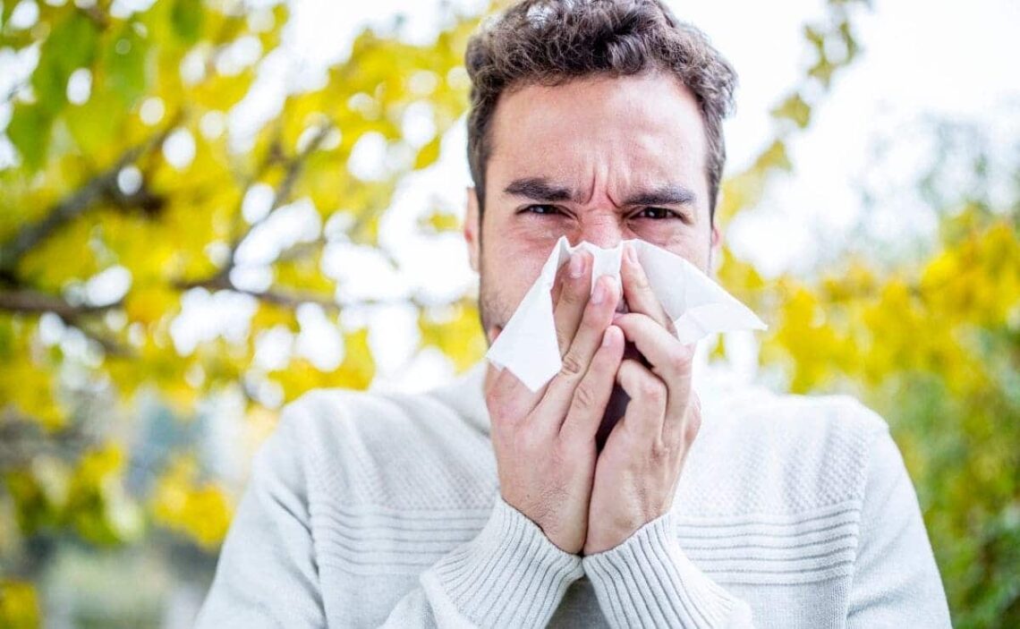Sistema respiratorio gripe