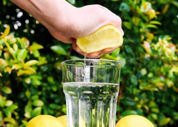 Beber jugo de limón ayuda a reducir los niveles de triglicéridos en sangre