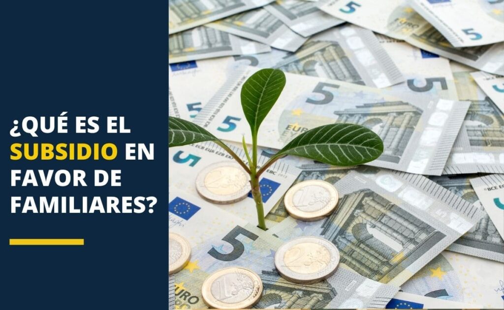 ¿Qué es el subsidio en favor de familiares?