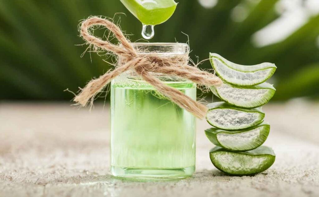 Estos son los beneficios del aloe vera en la digestión y para bajar los triglicéridos