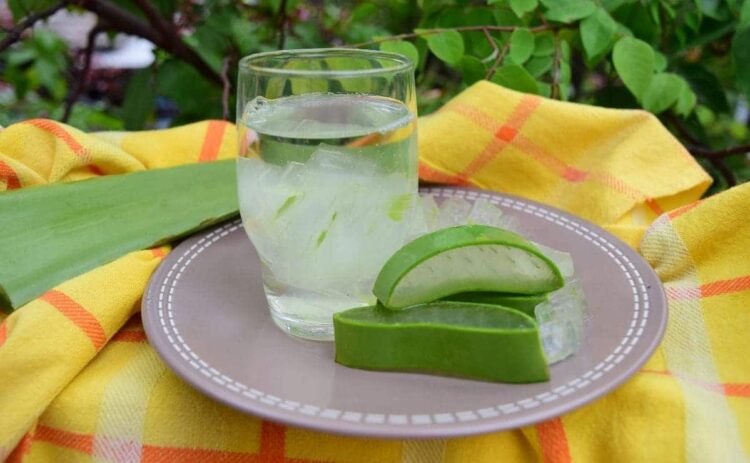 Jugo de aloe vera