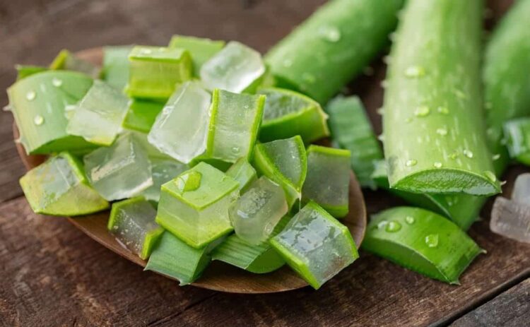 Beneficios de la cáscara de aloe vera