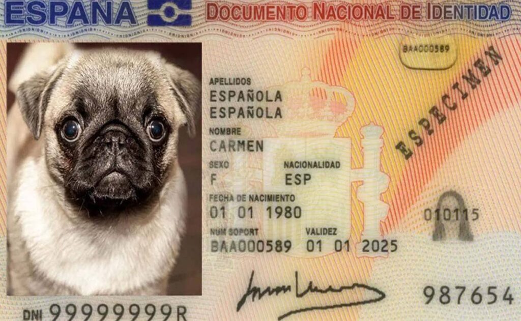 DNI Mascotas perro gato