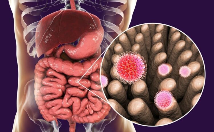 Esto es lo que ocurre en nuestra flora intestinal si comemos en exceso prebióticos