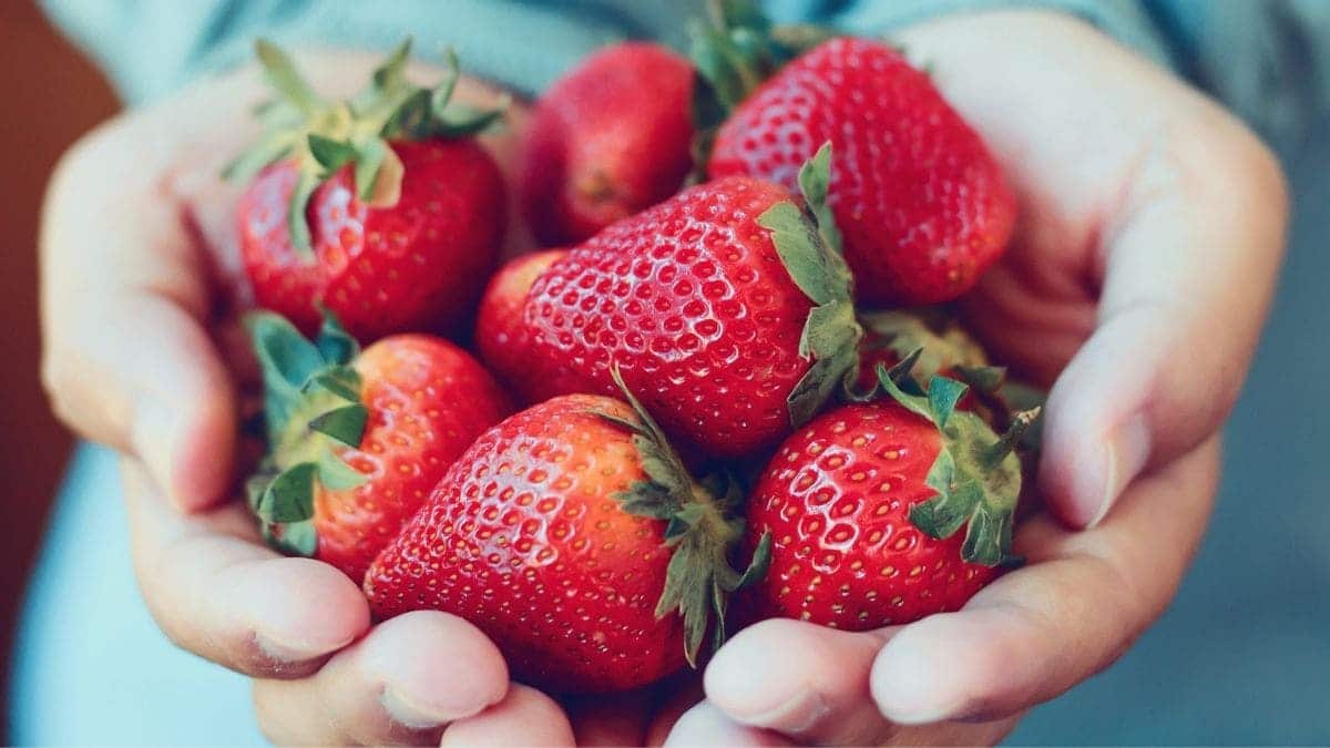 https://www.tododisca.com/wp-content/uploads/2023/11/Fresas-vitamina-C-1.jpg