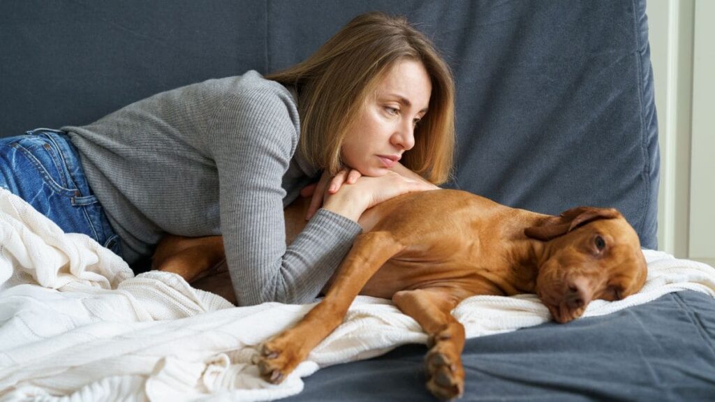 Incapacidad temporal por cuidar de tu mascota