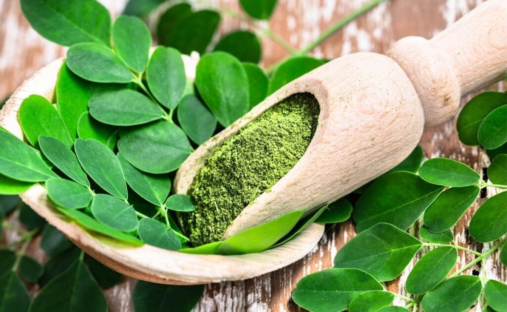 Ingrediente Moringa