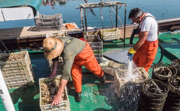 Jubilación anticipada mariscadores y rederas