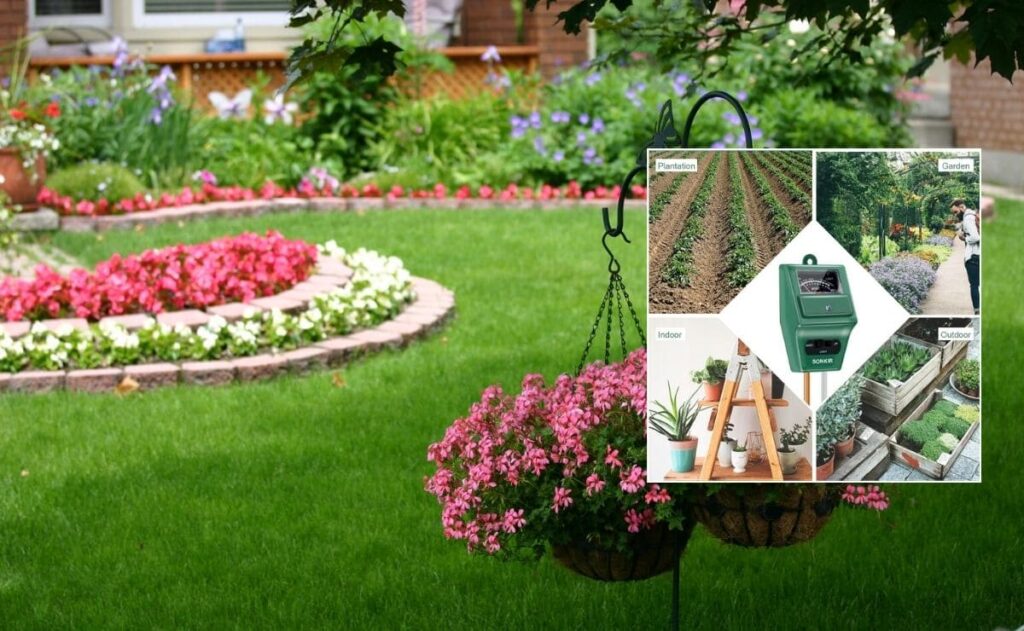 Medidor de humedad para jardin en verano