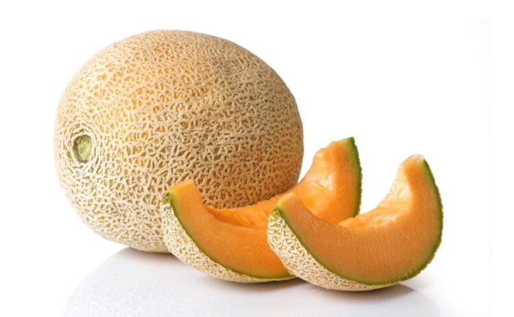 Melón fruta