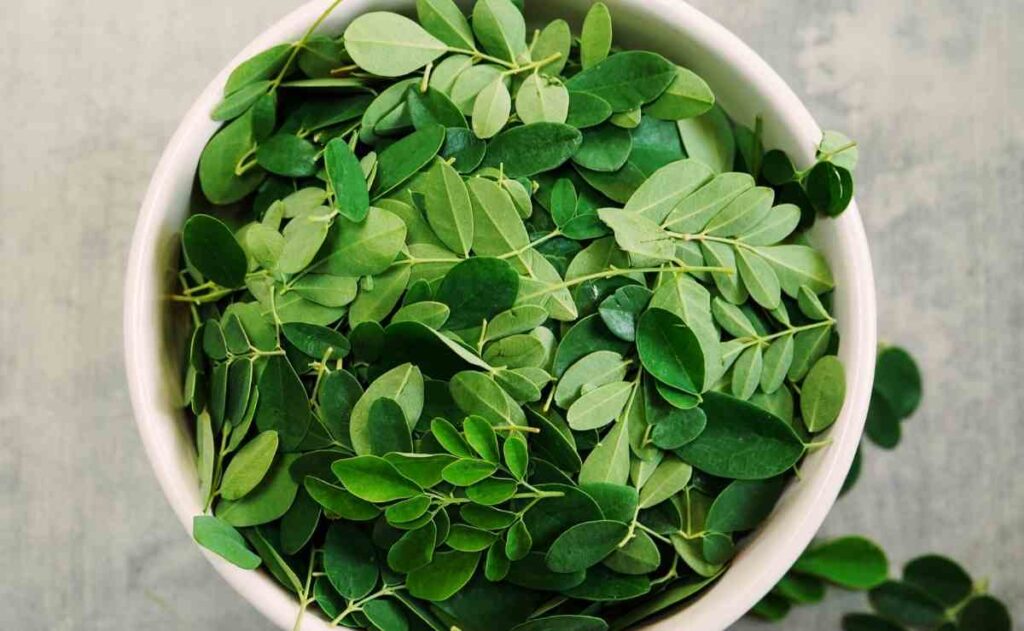 Moringa Superalimento antioxidante