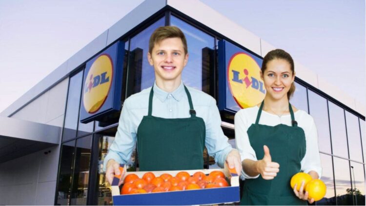 Ofertas de empleo lidl Septiembre