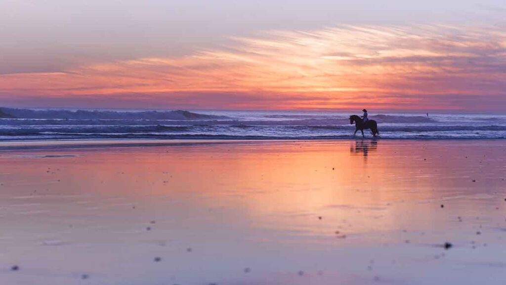 Playa de El Palmar (Cádiz)