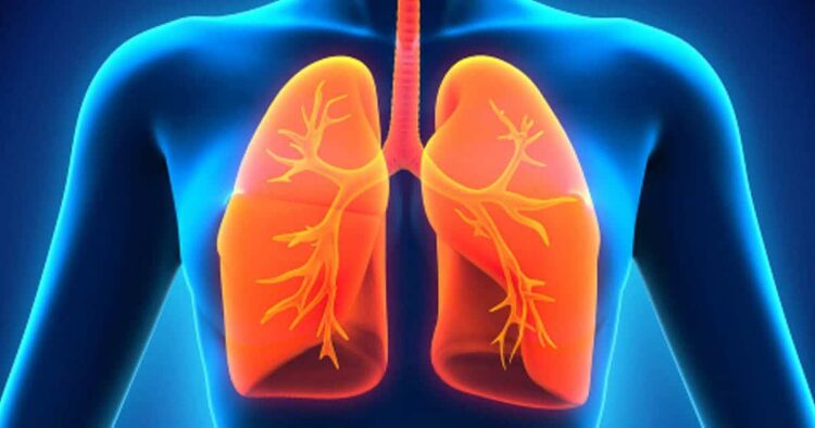 Pulmones hipoxemia