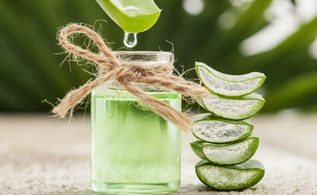 Beneficios jugo de aloe vera