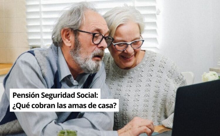 Salario amas de casa Seguridad Social