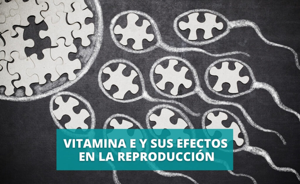 Vitamina e reproduccion