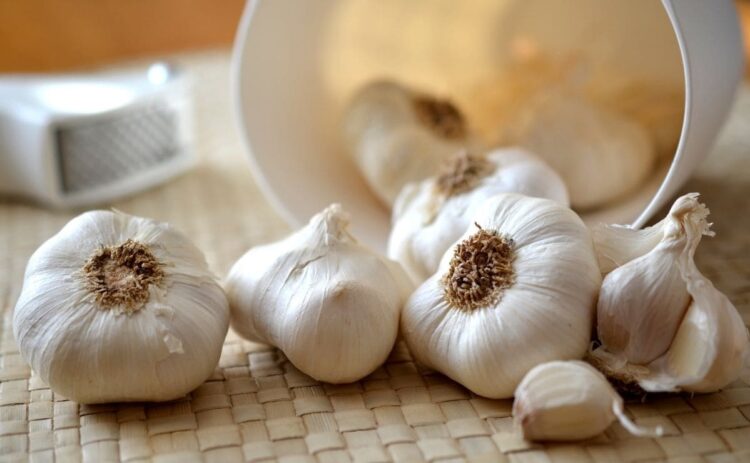 Propiedades del ajo como alimento saludable para la salud