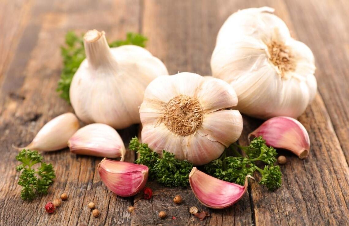 ajo garlic