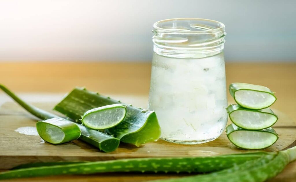 aloe vera remedio natural alimento belleza casero planta