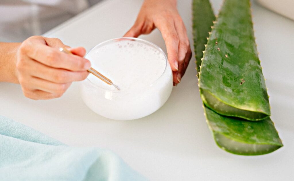 4 usos del aloe vera para recuperar la fortaleza de tu pelo