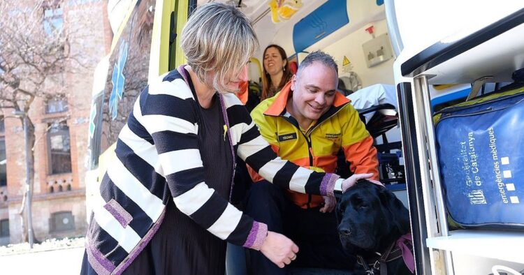 Perro guía en el interior de una ambulancia junto a su dueña.