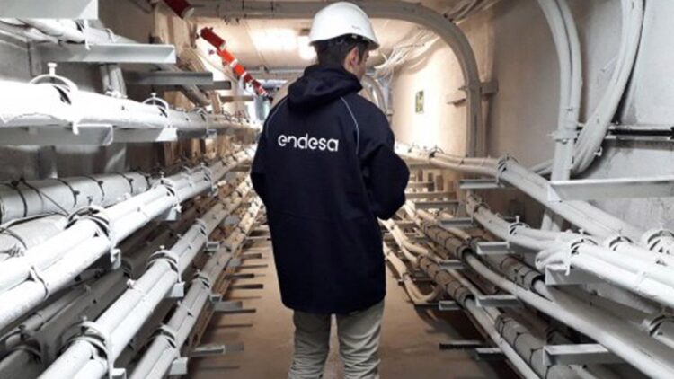 Trabajador de Endesa