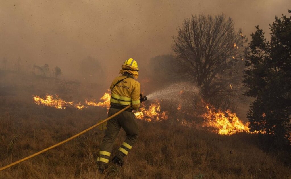 Fundación ONCE explica cómo se debe atender a personas con discapacidad en los casos de evacuación por incendios forestales