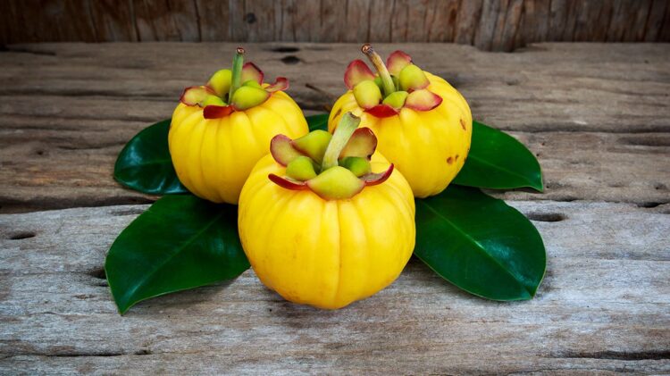 Garcinia cambogia